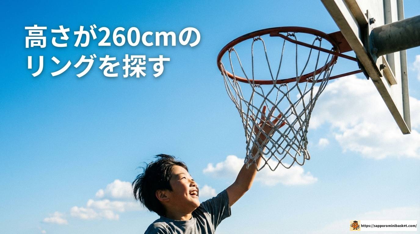 ミニバスのゴールがある公園を徹底解説！高さや夜間利用のコツ