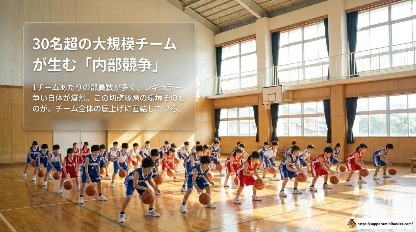 北九州のミニバスが強い理由｜強豪チーム徹底解説