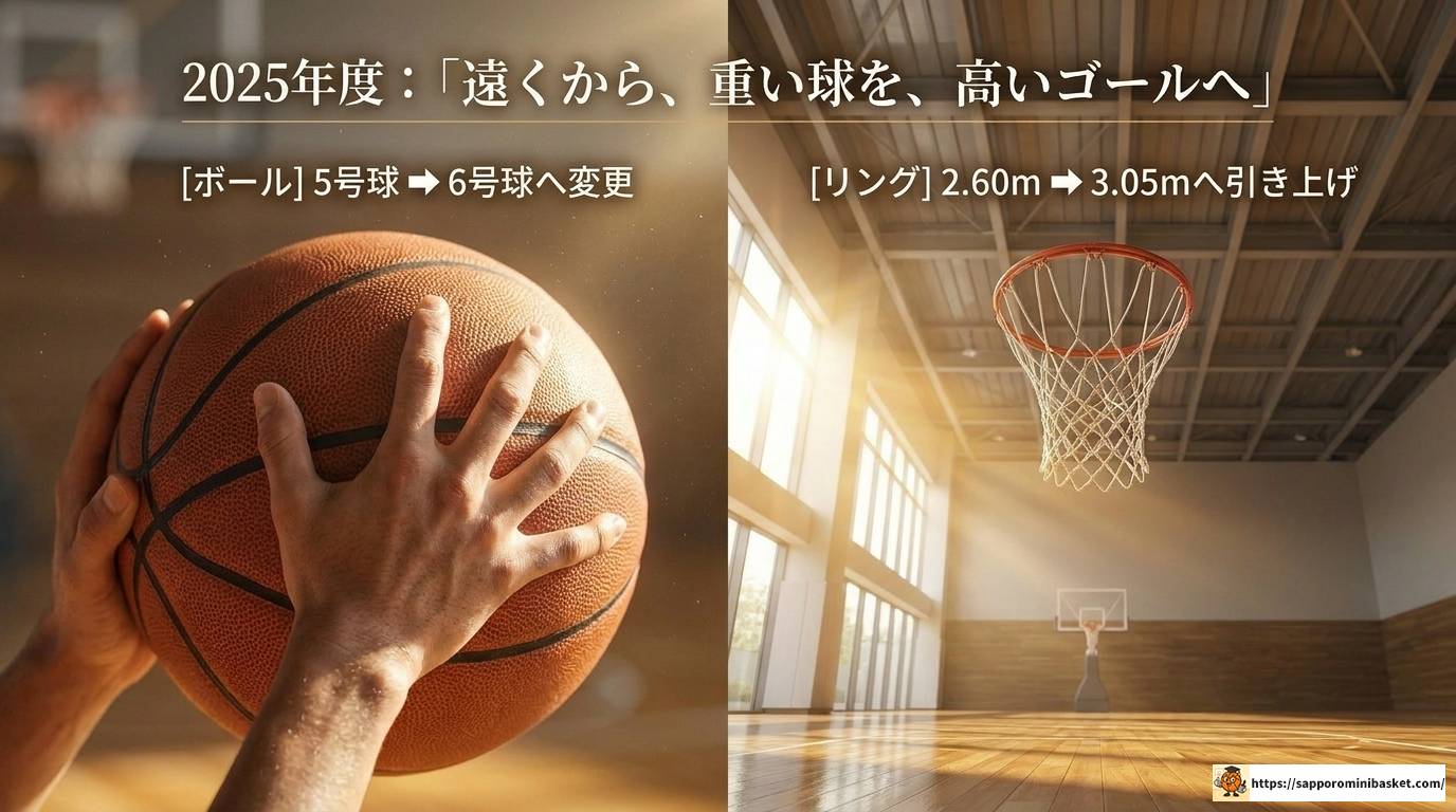 ミニバスの3ポイントはいつから?導入スケジュールと育成への影響を徹底解説