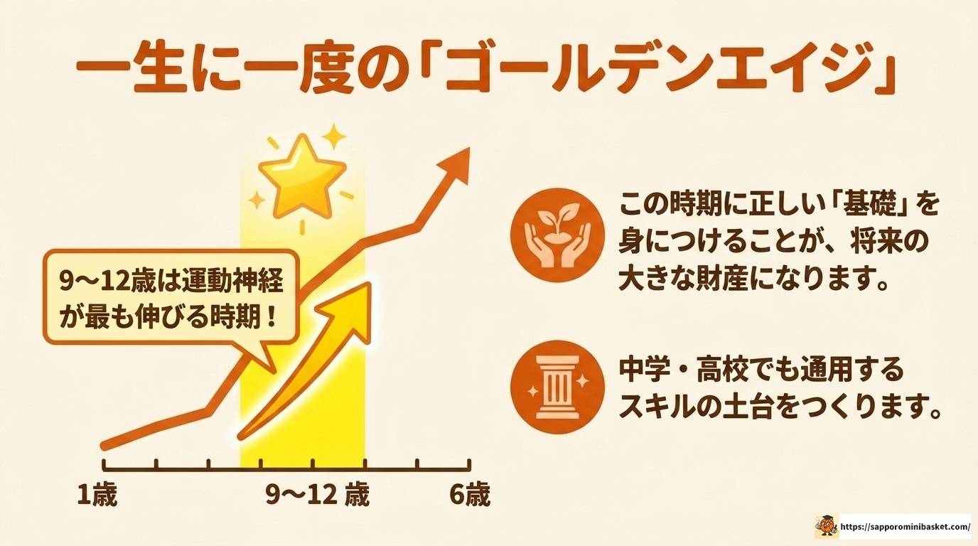 倉敷のNEXUSミニバスに入る前に知っておきたい全情報