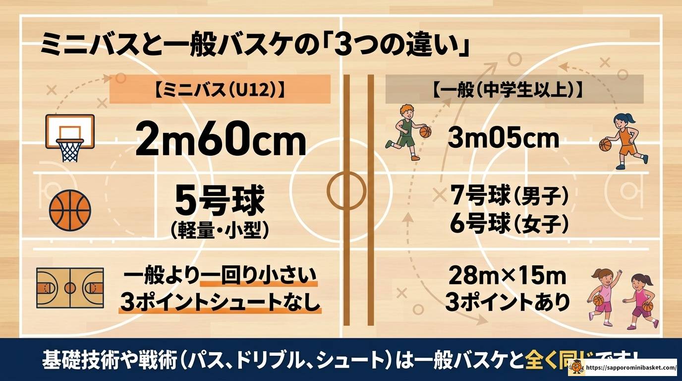熊本ミニバスランキング2025最新版!男女強豪チーム総まとめ